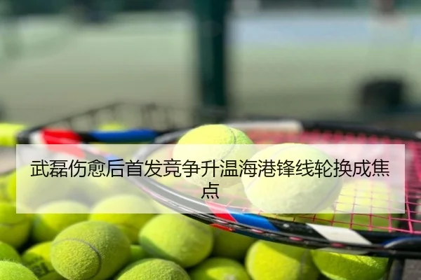 武磊伤愈后首发竞争升温海港锋线轮换成焦点