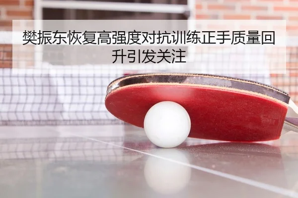 樊振东恢复高强度对抗训练正手质量回升引发关注